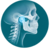 TMJ (Jaw) Pain